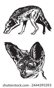 Graphical illustration of wolf and fox on white background,vector illustrtion