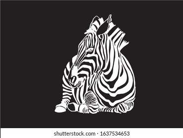 Graphical illustration of zebra sitting isolated on black background,vector engraved illustration