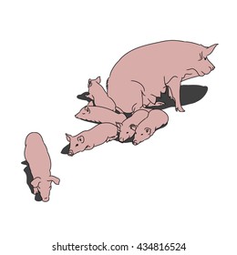 A graphical image of a pig and her piglets