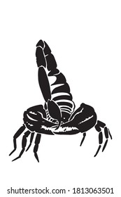 Graphical ink pen scorpion, silhouette for tattoo and design,vector illustration