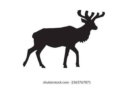 Graphical ink pen silhouette of deer on white background, vector illustration. 