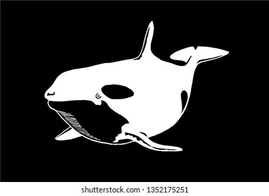 Graphical killer whale isolated on black background,vector sea-food illustration
