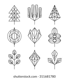 Graphical leaf of the tree set, hipster linear style
