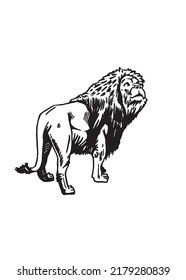 Graphical lion isolated on white, ink pen vector illustration