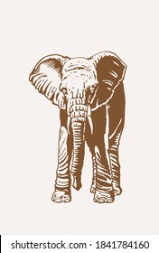 Graphical lion standing , sepia vector  illustration,element for design