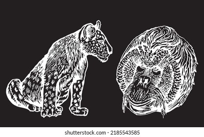 Graphical lioness and head of baboon isolated on black,vector engraved  elements 