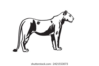 Graphical lioness on white background, ink-pen graphics