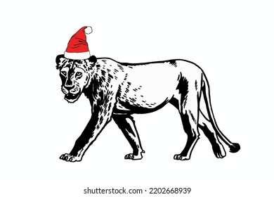 Graphical lioness in Santa Claus hat isolated on white background,vector illustration. Christmas element in design