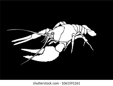 Graphical lobster isolated on black background,vector sea-food illustration