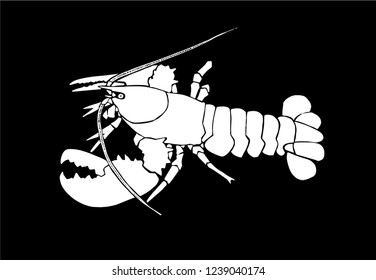 Graphical lobster isolated on black background,vector engraved illustration, sea-food 