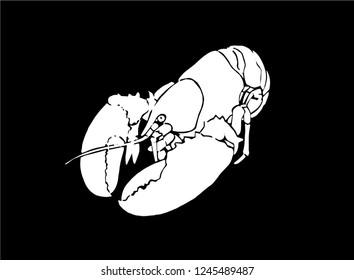 Graphical lobster isolated on black background,vector illustration for tattoo and printing