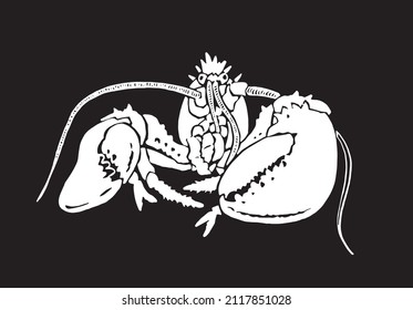 Graphical lobster isolated on black background,vector sea-food element