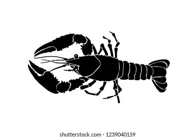 Graphical lobster isolated on white background,vector sketchy illustration, sea-food icon