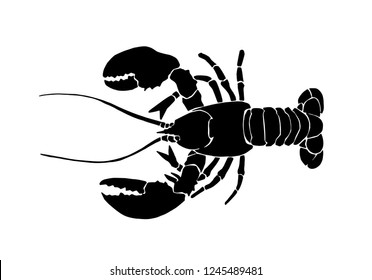 Graphical lobster isolated on white background,vector illustration for tattoo and printing