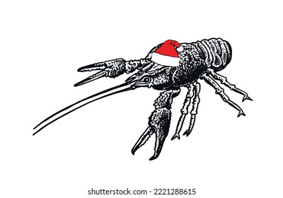 Graphical lobster in red Santa Claus hat isolated on white background,vector seafood illustration