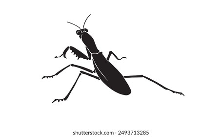 Graphical mantis isolated on white background, vector illustration. Insect black silhouette 