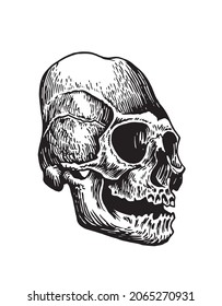 Graphical Mayan skull isolated on white, long skull of ancient tribe, vector illustration, halloween element.Paleontology 