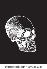 Graphical Mayan skull isolated on black, long skull of ancient tribe, vector illustration, halloween element.Paleontology 