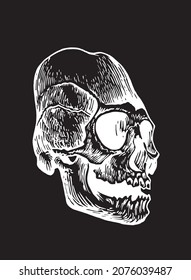 Graphical Mayan skull isolated on black, long skull of ancient tribe, vector illustration, halloween element.Paleontological engraved element