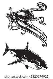 Graphical octopus and shark isolated on white background,vector seafood elements