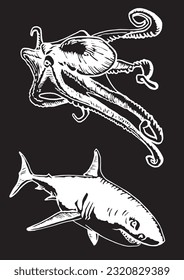 Graphical octopus and shark isolated on black background,vector seafood elements