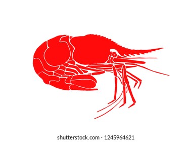 Graphical orange shrimp isolated on white background,vector sea-food illustration