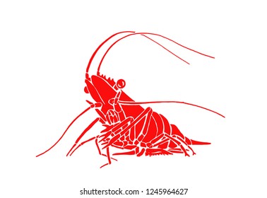 Graphical orange shrimp isolated on white background,vector sea-food illustration