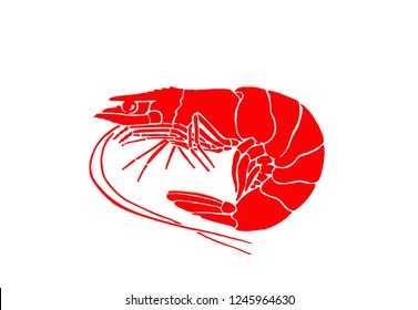 Graphical orange shrimp isolated on white background,vector sea-food illustration