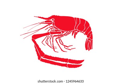 Graphical orange shrimp isolated on white background,vector sea-food illustration