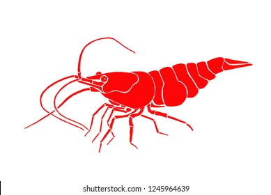 Graphical orange shrimp isolated on white background,vector sea-food illustration