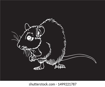 Graphical outlined rat isolated on black background,vector engraved  illustration for coloring books