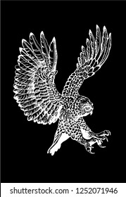 Graphical owl flying isolated on black ,vector hand-drawn illustration
