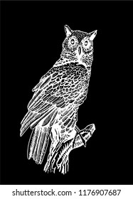 Graphical owl isolated on black ,vector sketchy engraved illustration. 