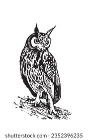 Graphical owl isolated on white ,vector sketchy tattoo illustration. Owl for coloring books