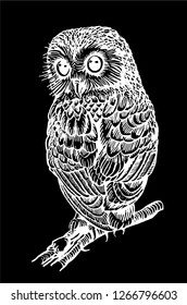 Graphical owl sitting on the branch of the tree isolated on black, vector