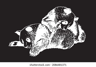 El par gráfico de pandas se divierten aislados en la ilustración negra ,vectorial