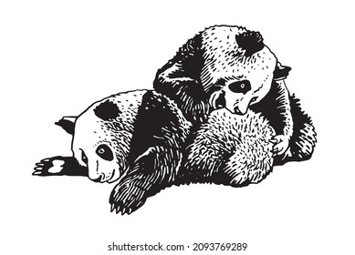 Graphical pair of pandas have fun isolated on white ,vector illustration
