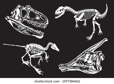 Graphical paleontological collection, hand-drawn skulls and skeletons of dinosaurs isolated on  black background	