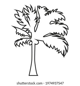 Graphical palm tree set, linear style, isolated object