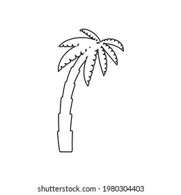 Graphical palm tree set, linear style, isolated object