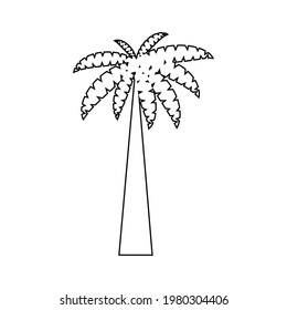 Graphical palm tree set, linear style, isolated object