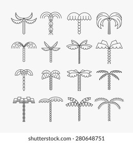 Graphical palm tree set, linear style, isolated vector objects