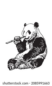 Graphical panda sits and east bamboo branch,vector illustration