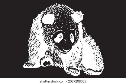 Graphical panda sits and eats bamboo branch,vector engraved illustration 