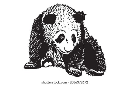 Graphical panda sits isolated on whte,vector illustration