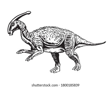 Graphical  Parasaurolophus isolated on white background, dinosaur