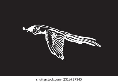 Graphical parrot ara flying  on black,vector element of bird.Ink pen parrot