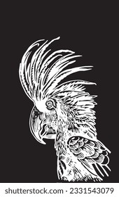 Graphical parrot cockatoo isolated on black,vector element of bird.Ink pen parrot