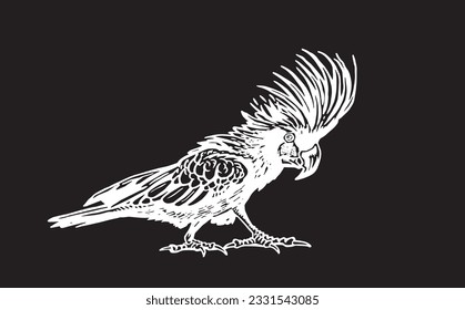 Graphical parrot cockatoo isolated on black,vector element of bird.Ink pen parrot