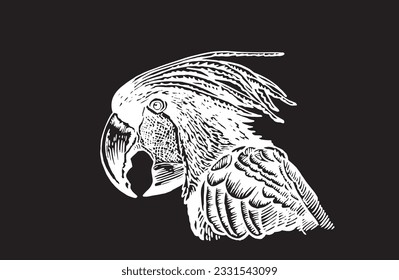 Graphical parrot cockatoo isolated on black,vector element of bird.Ink pen parrot